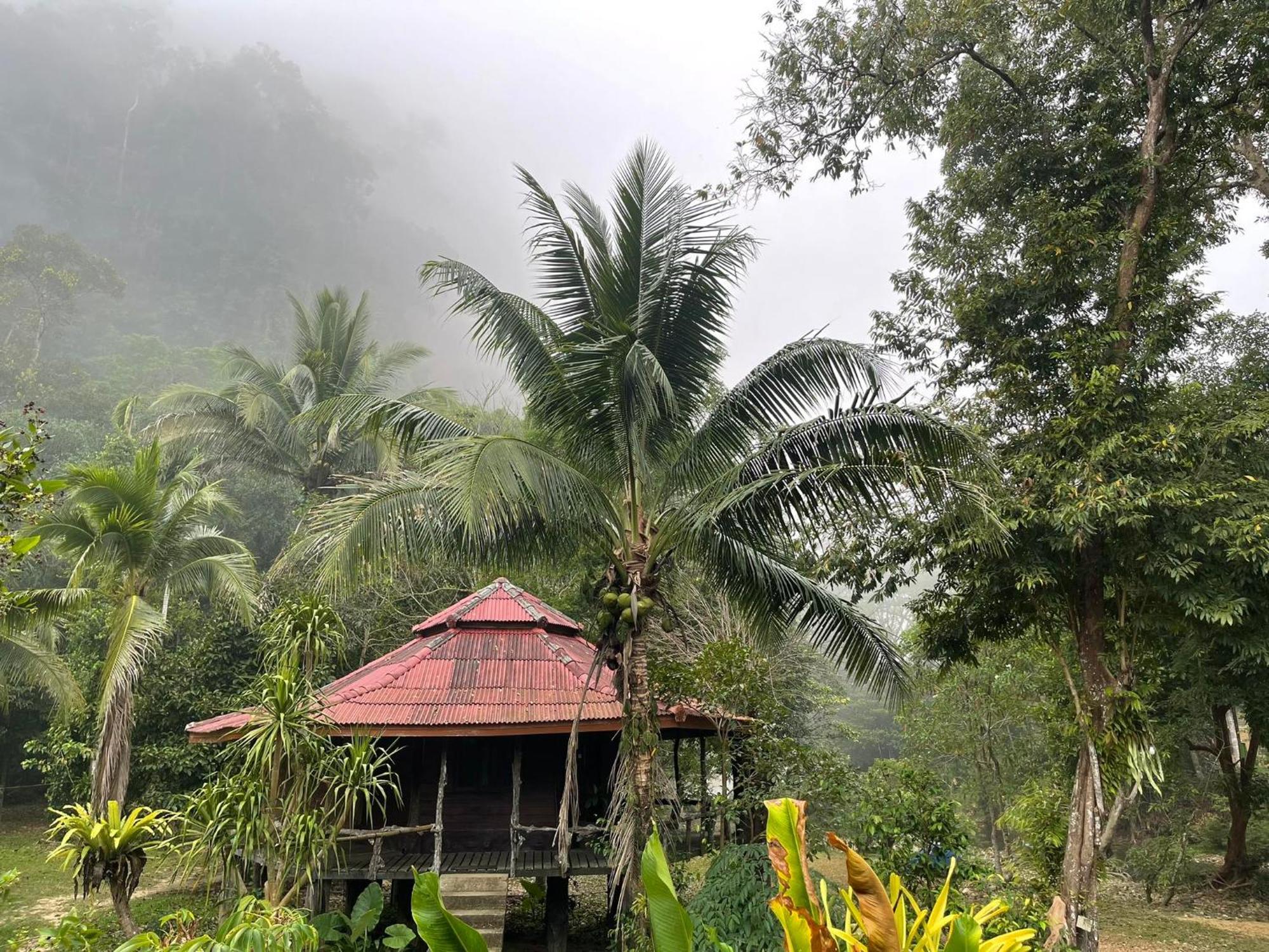 Khaosok Monkeys & River Camps Khao Sok National Park 外观 照片