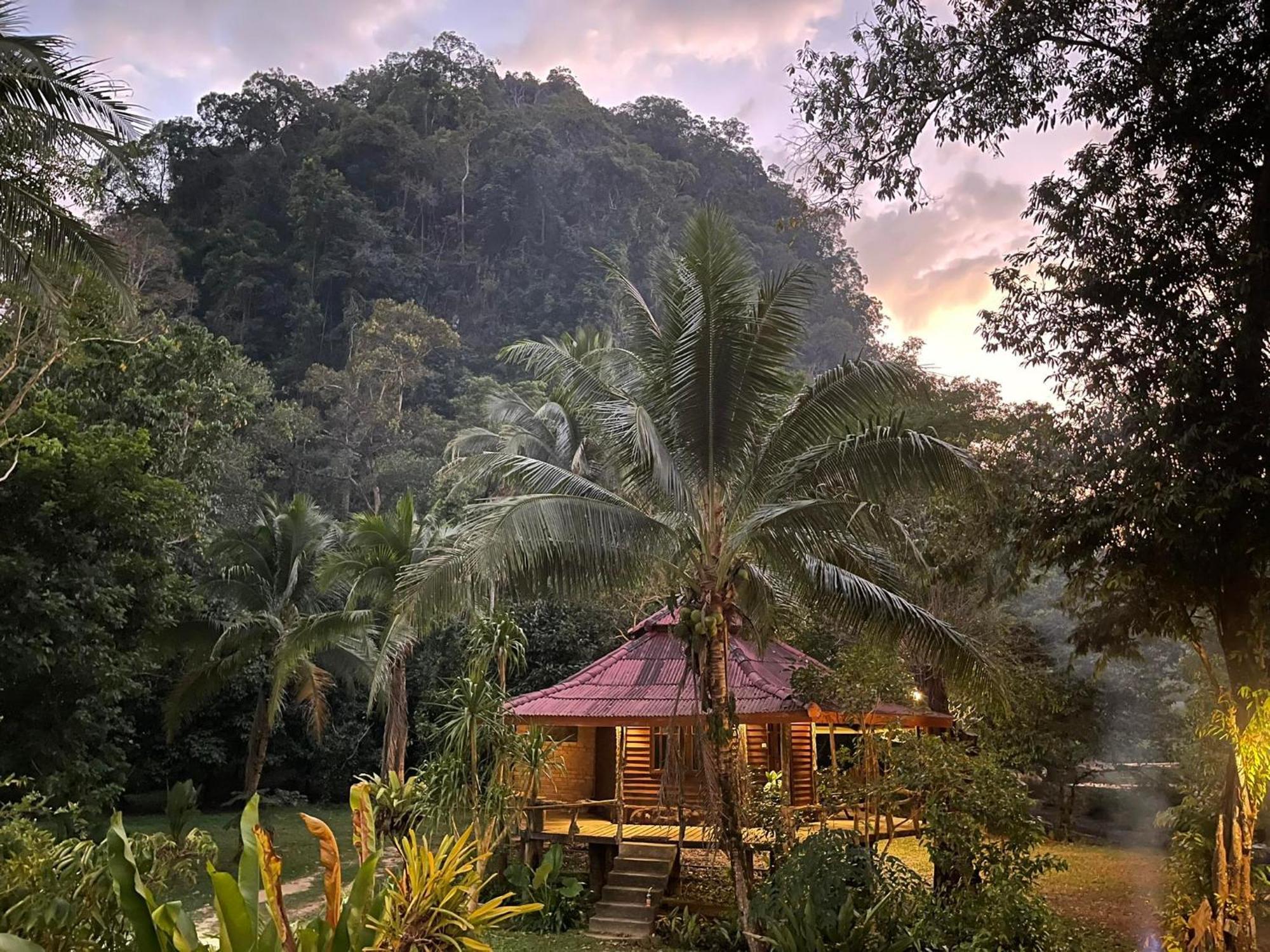 Khaosok Monkeys & River Camps Khao Sok National Park 外观 照片